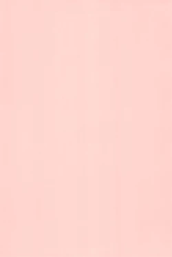 Page 4 of Hinnyuu Senryaku