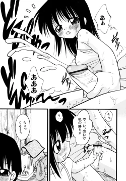 Page 21 of Meconopsis