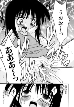 Page 33 of Meconopsis