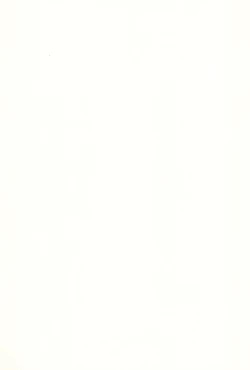 Page 29 of Akatsuki Teikoku 3