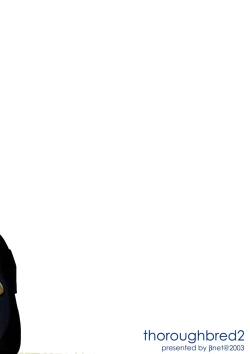 Page 27 of thoroughbred2