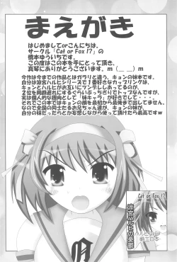 Page 4 of Kyon no Imouto no Yuuwaku