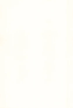 Page 3 of Sakura Memorial