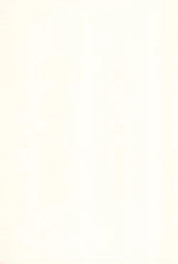 Page 3 of Child Channel Umi ch