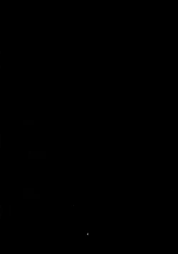 Page 4 of SanaSuwa Ryoujoku Ganbou II