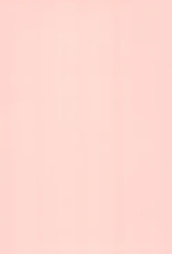 Page 22 of THE SUZI Sono Suzi no Hon