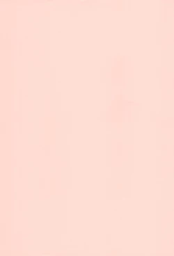 Page 3 of THE SUZI Sono Suzi no Hon