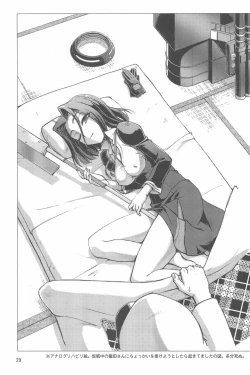 Page 29 of Tenryuu Kyousei Kaishuu Keikaku