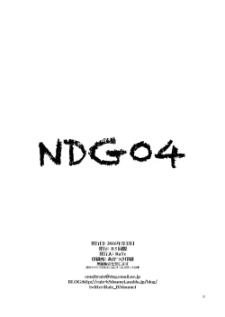 Page 31 of NDG04