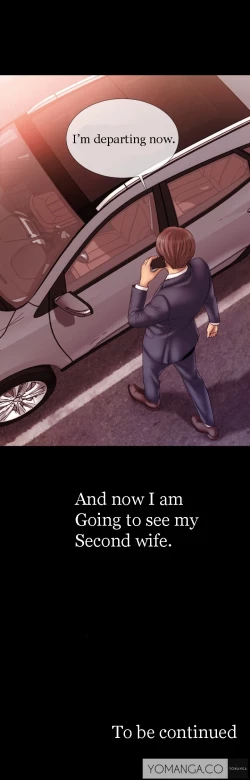 Page 15 of My Wives Ch.1-17