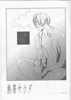 Page 4 of Nettai sarada