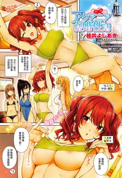 Download Aquania Marriage Life