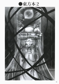 Page 4 of Touhou hon 2