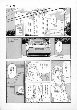 Page 111 of TAG