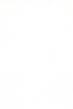 Page 4 of BUCHIKOWASHI