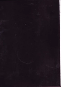 Page 2 of Caesar Salad Ontama Nose