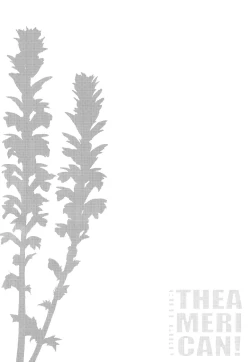 Page 4 of CUTE GIRL! THE AMERICAN!