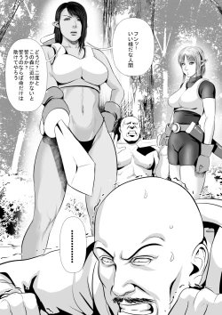 Page 3 of Sanzoku VS Elf KishiZenpen