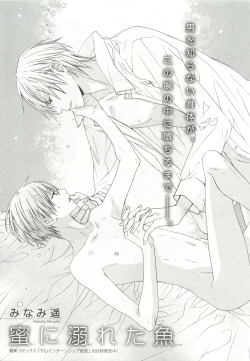 Page 263 of Pink Gold 6