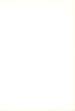 Page 2 of [Shinobi no YakataJEWELSARAD