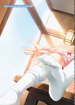 Page 3 of Amakoi Syrups Visual Fan Book