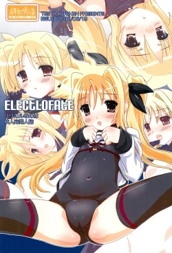 Page 1 of ElectLoFate