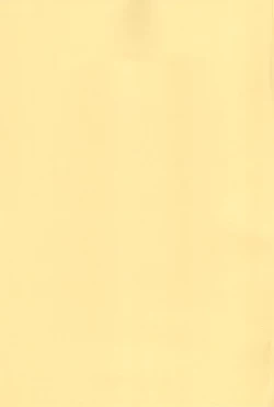 Page 3 of WHITE & WHITE