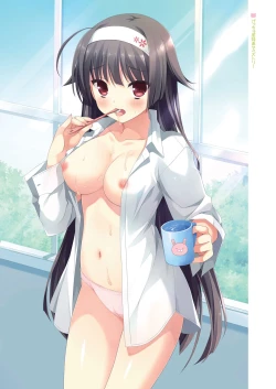 Page 17 of Imouto no Okage de Mote sugite Yabai. Visual Fan Book