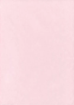 Page 2 of Kyou no Destiny Record