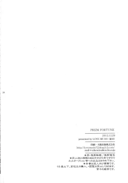 Page 28 of PRIZM FORTUNE