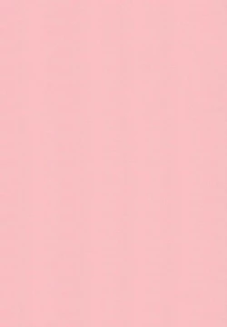 Page 3 of Binyuu Manifest