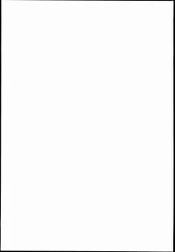 Page 19 of Hatsujou Anchira Hentai Koubi