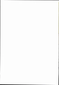 Page 31 of Bokura no Nazrin wa Bukiyou Kawaii!