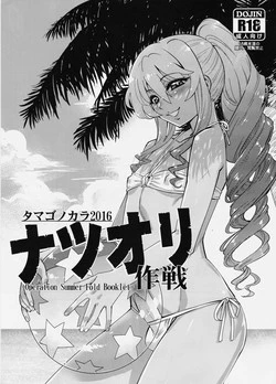 Download (C90) [Tamago no Kara (Shiroo)] -Operation Summer Fold Booklet-