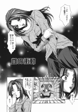 Page 21 of Zecchou Mama