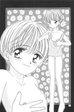 Page 33 of Hinnyuu Musume 4