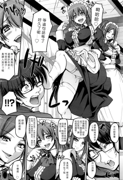 Page 16 of Seiteki Tousaku Maid Shimai!