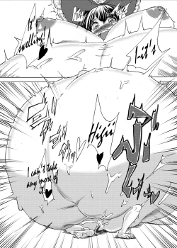 Page 13 of Inflater Reimu