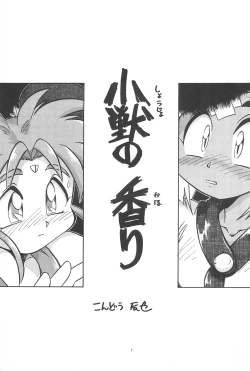 Page 9 of Okayama Meibutsu Tenchi Muyo