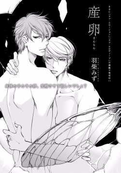 Page 227 of Pink Gold