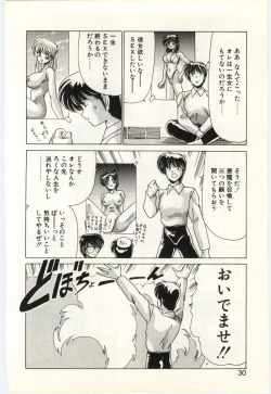 Page 29 of Subete wo Misetai