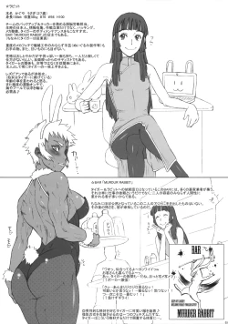 Page 3 of NIPPON TIGER & RABBIT