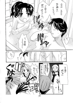 Page 28 of Shibamura no Kuni no Ohimesama