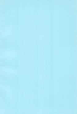 Page 4 of Limited Chiwadora!