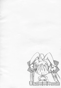 Page 2 of Usamimimode