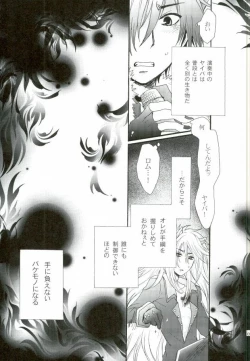Page 4 of Kakusei Shigan / Kakuseishigan
