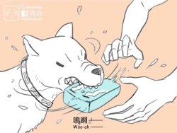 Page 115 of musSoap.tw