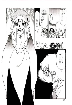 Page 28 of Seiken Butou Gishi Aura