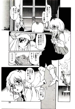 Page 33 of Seiken Butou Gishi Aura