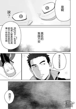 Page 11 of Meteo Ride